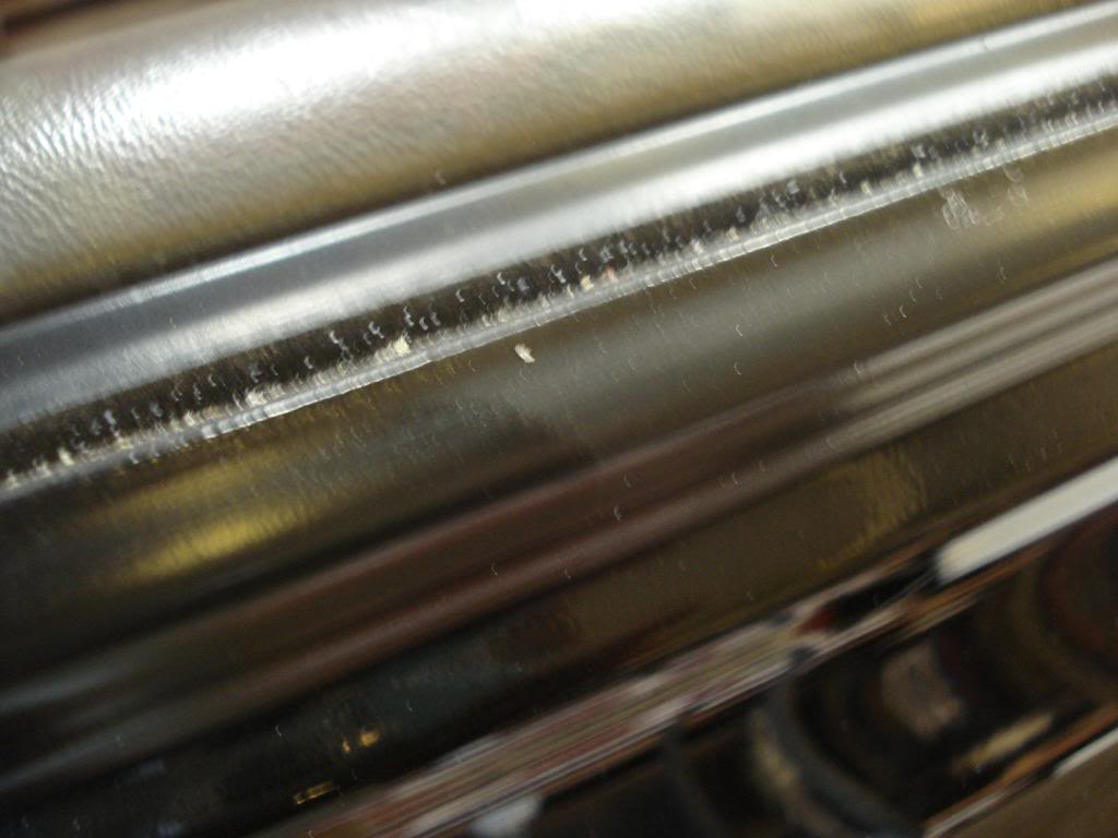 DSC08411.jpg