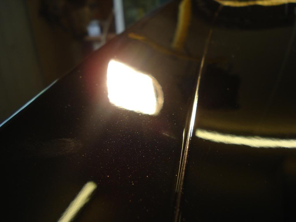 DSC08420.jpg