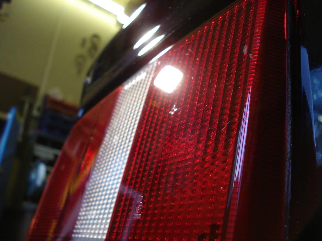 DSC08430.jpg