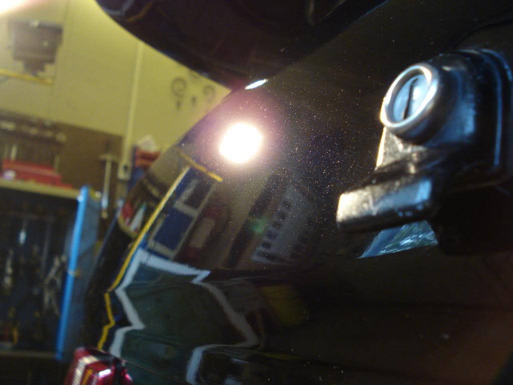 DSC08431.jpg