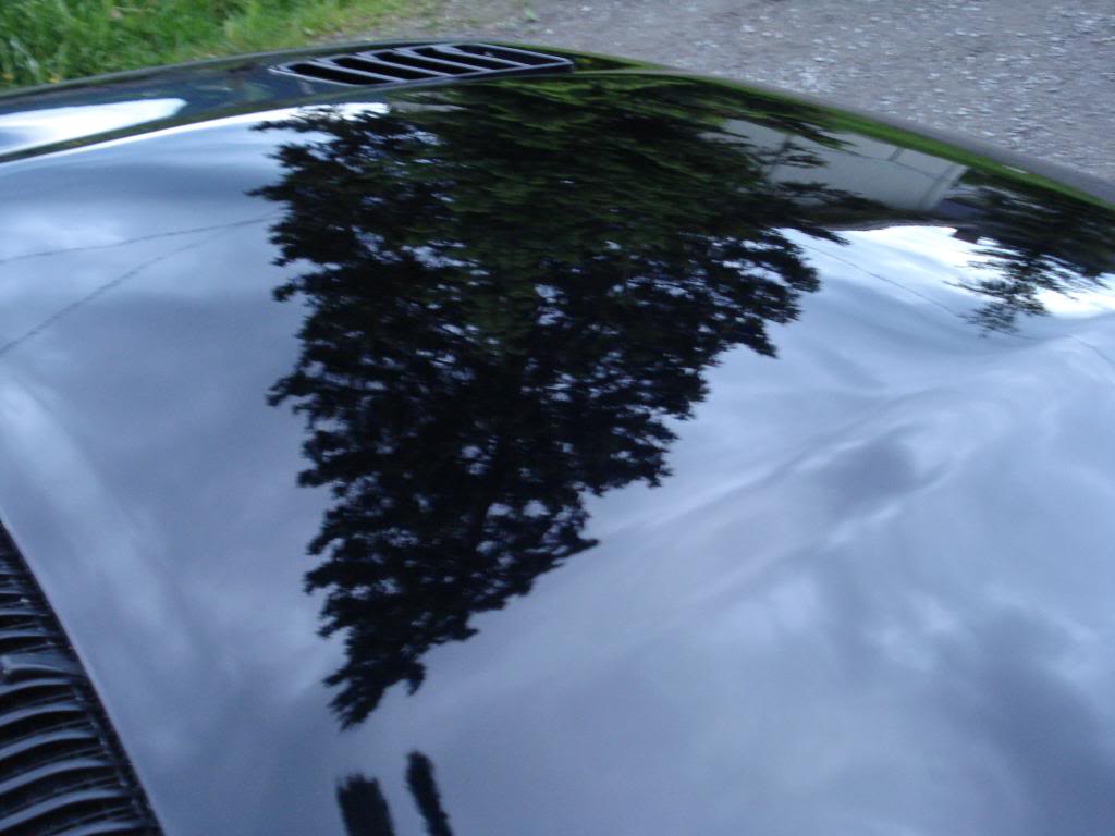 DSC08484.jpg