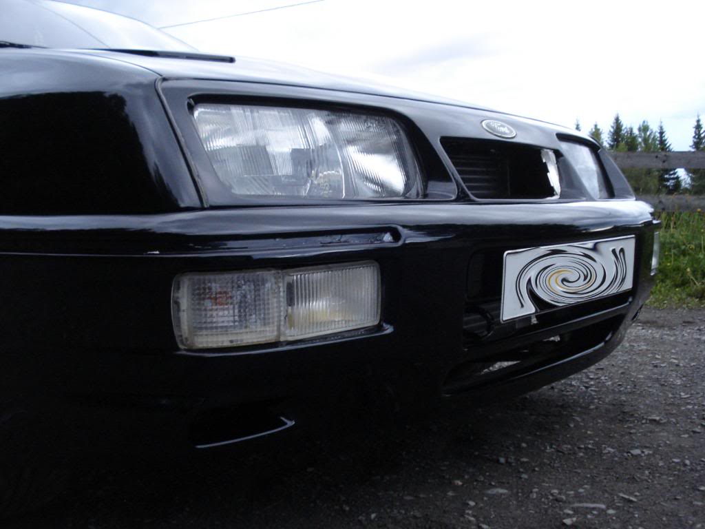 DSC08494.jpg