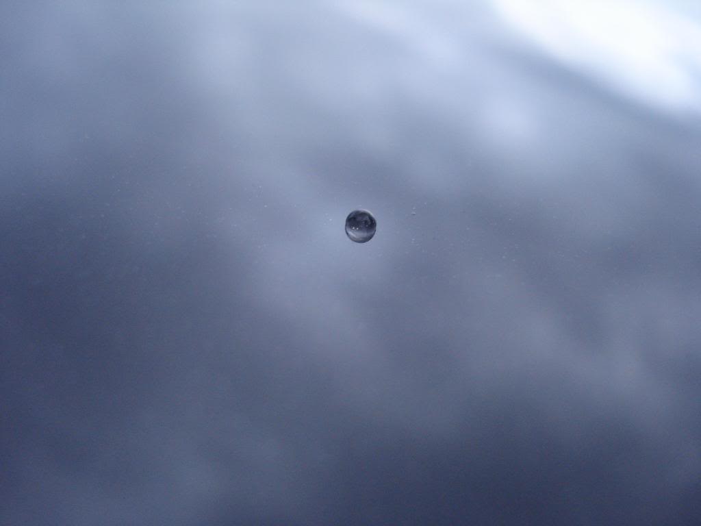 DSC08496.jpg