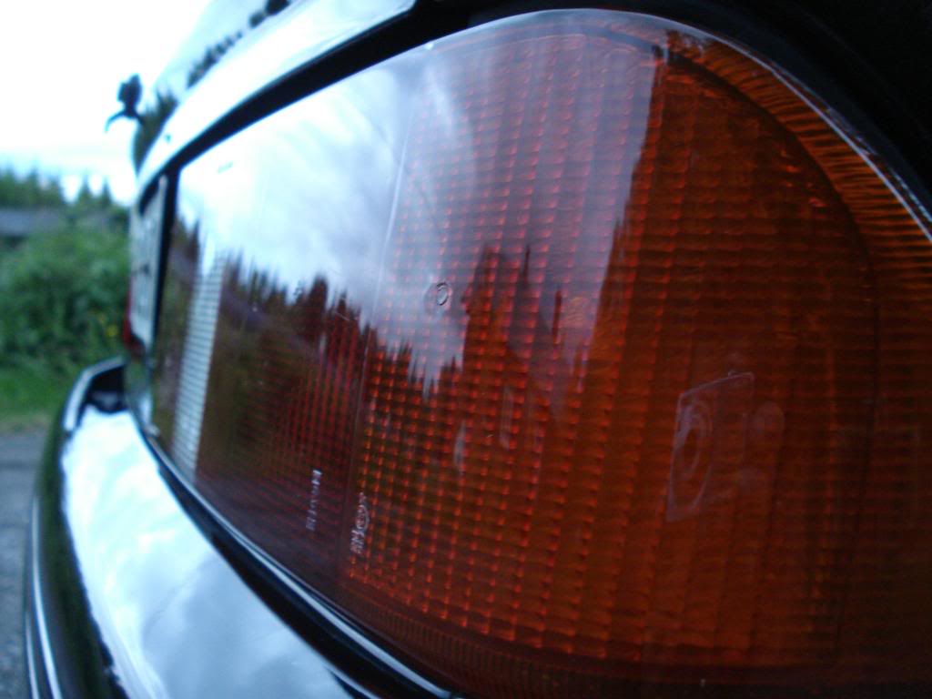DSC08501.jpg