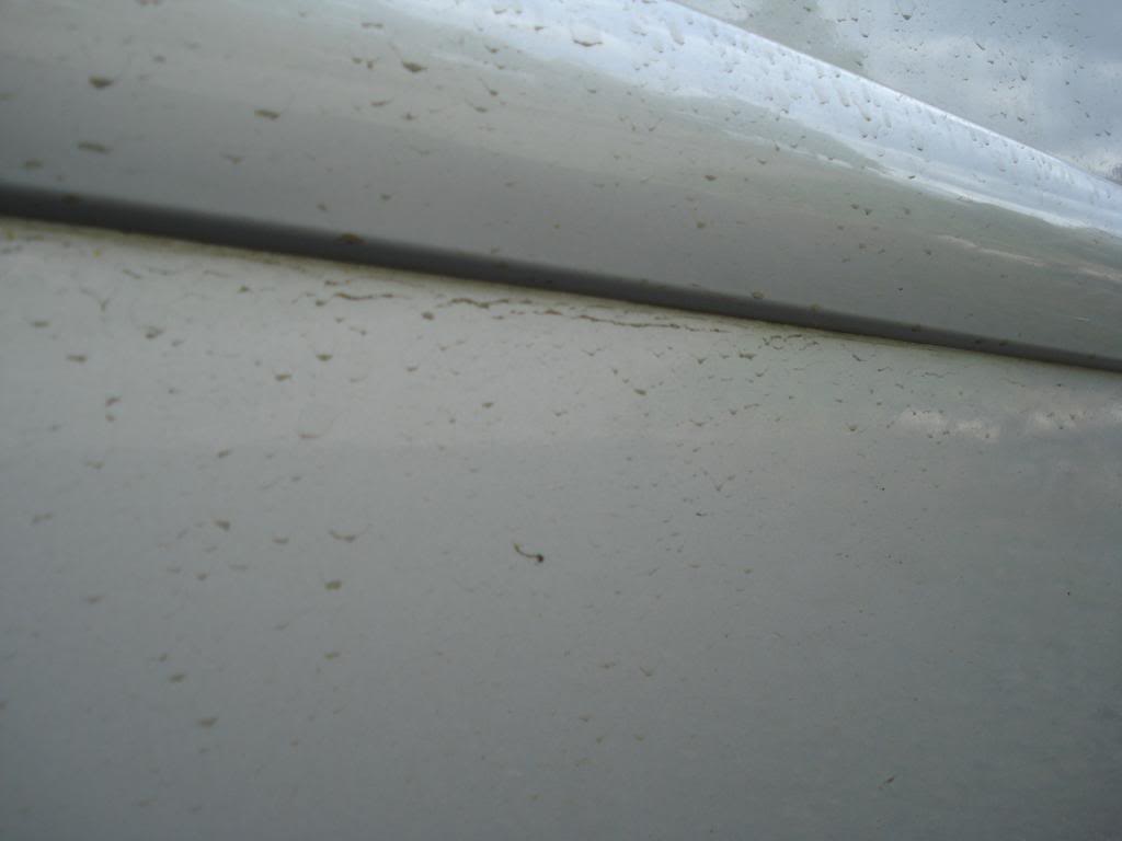 DSC08561.jpg