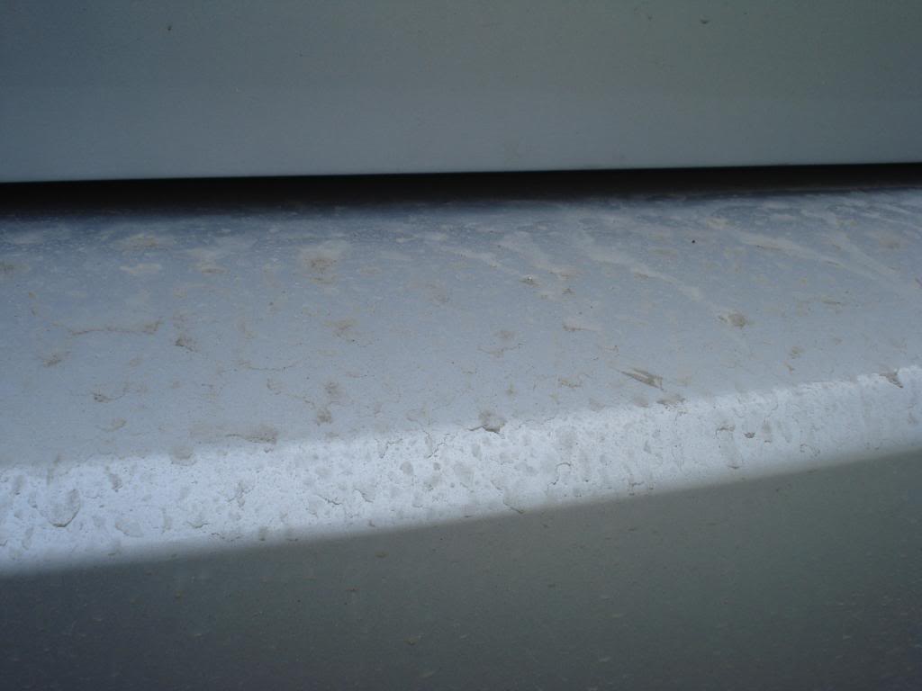 DSC08563.jpg