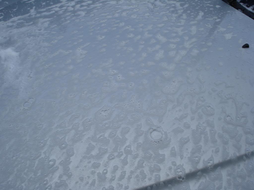 DSC08575.jpg