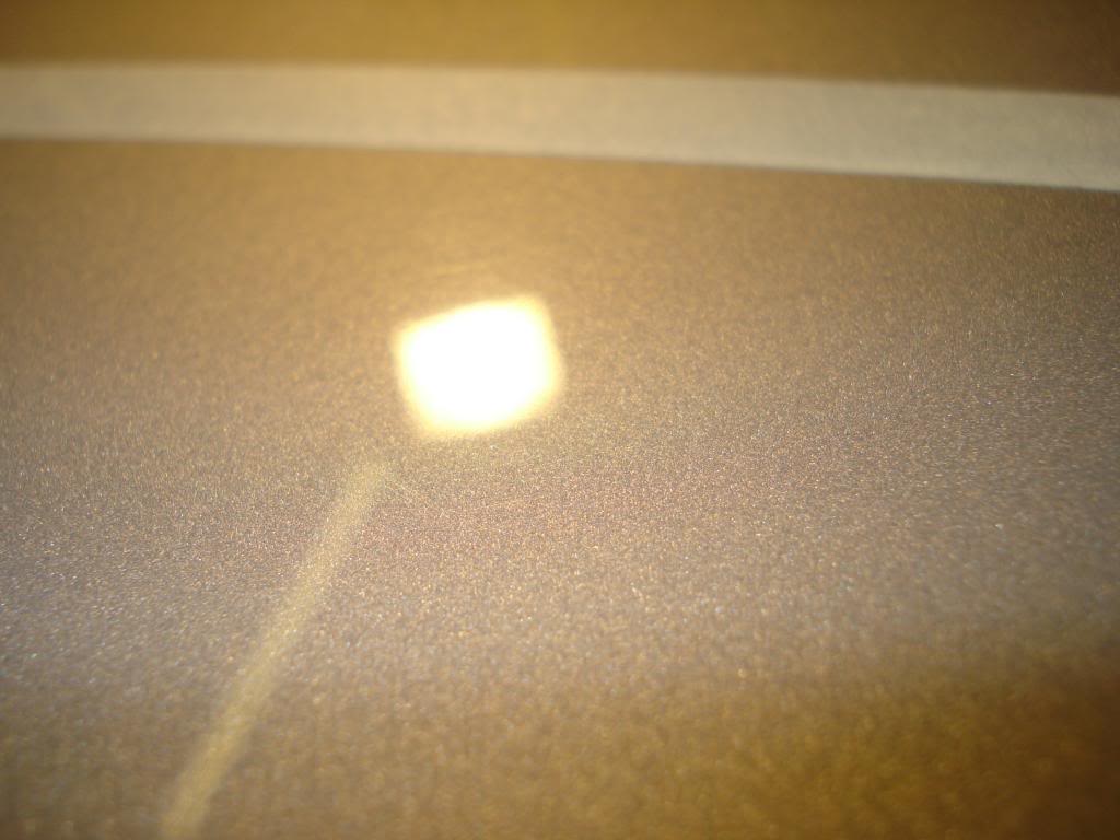 DSC08655.jpg