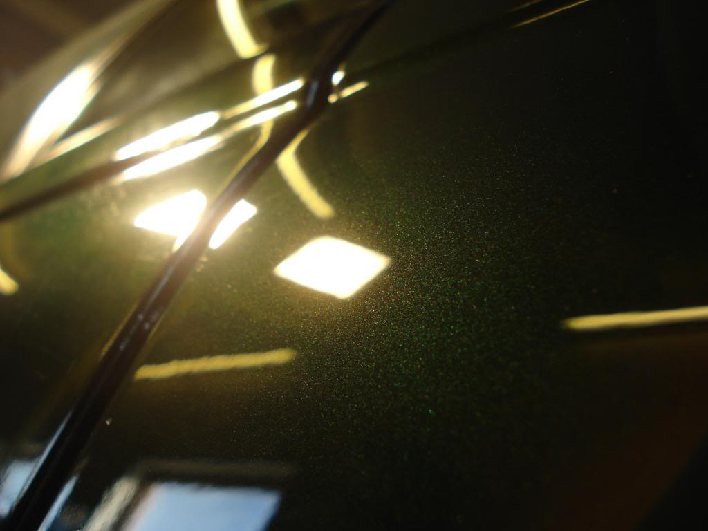 DSC09682.jpg