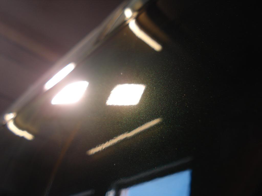 DSC09685.jpg