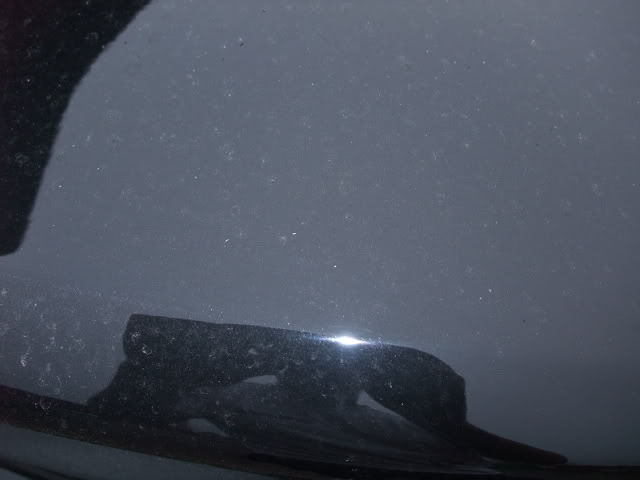 DSCF1350.jpg