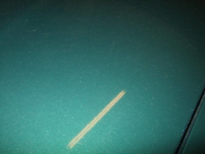 DSCF3164.jpg