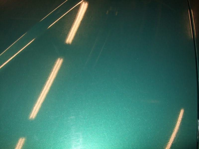 DSCF3174.jpg