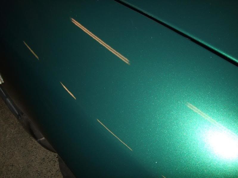 DSCF3234.jpg