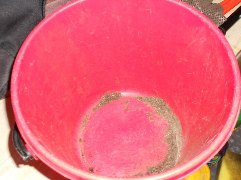 DSCN0328.jpg