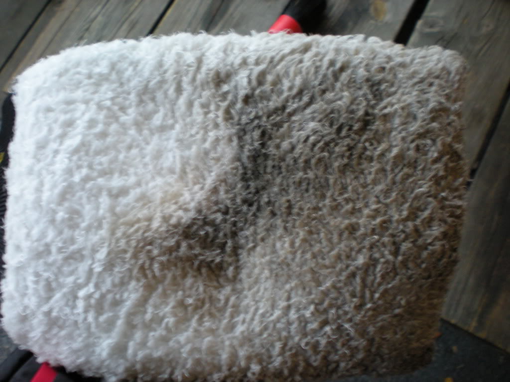 DSCN0437.jpg