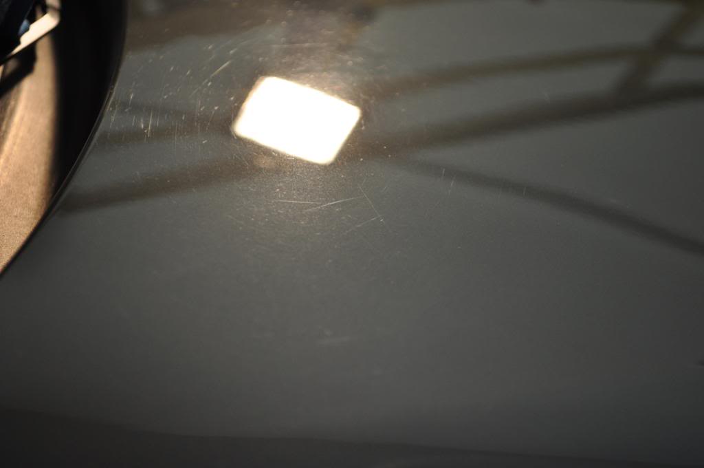 DSC_0013.jpg