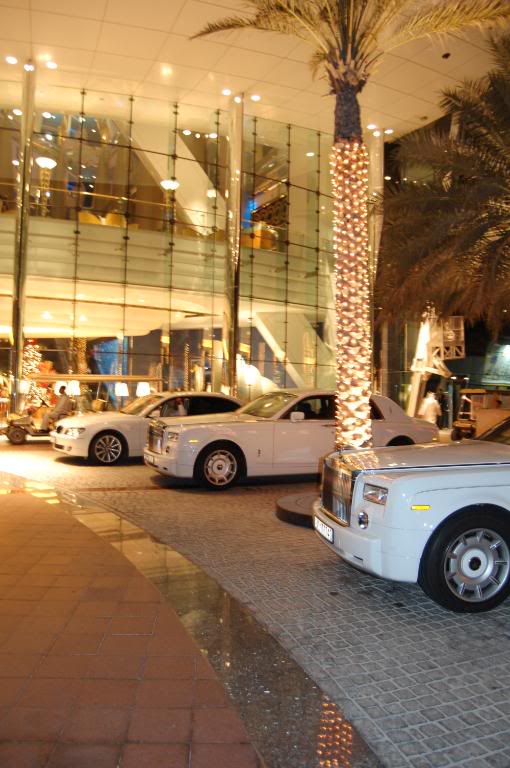 DSC_0016.jpg