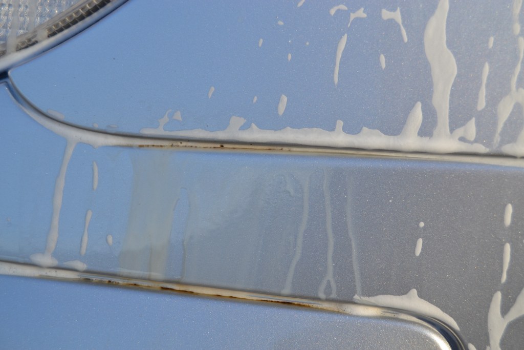 DSC_0017_1024x683.jpg