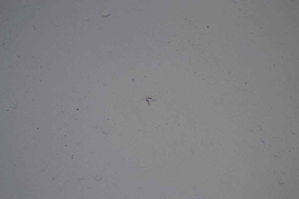 DSC_0018_1200x800.jpg