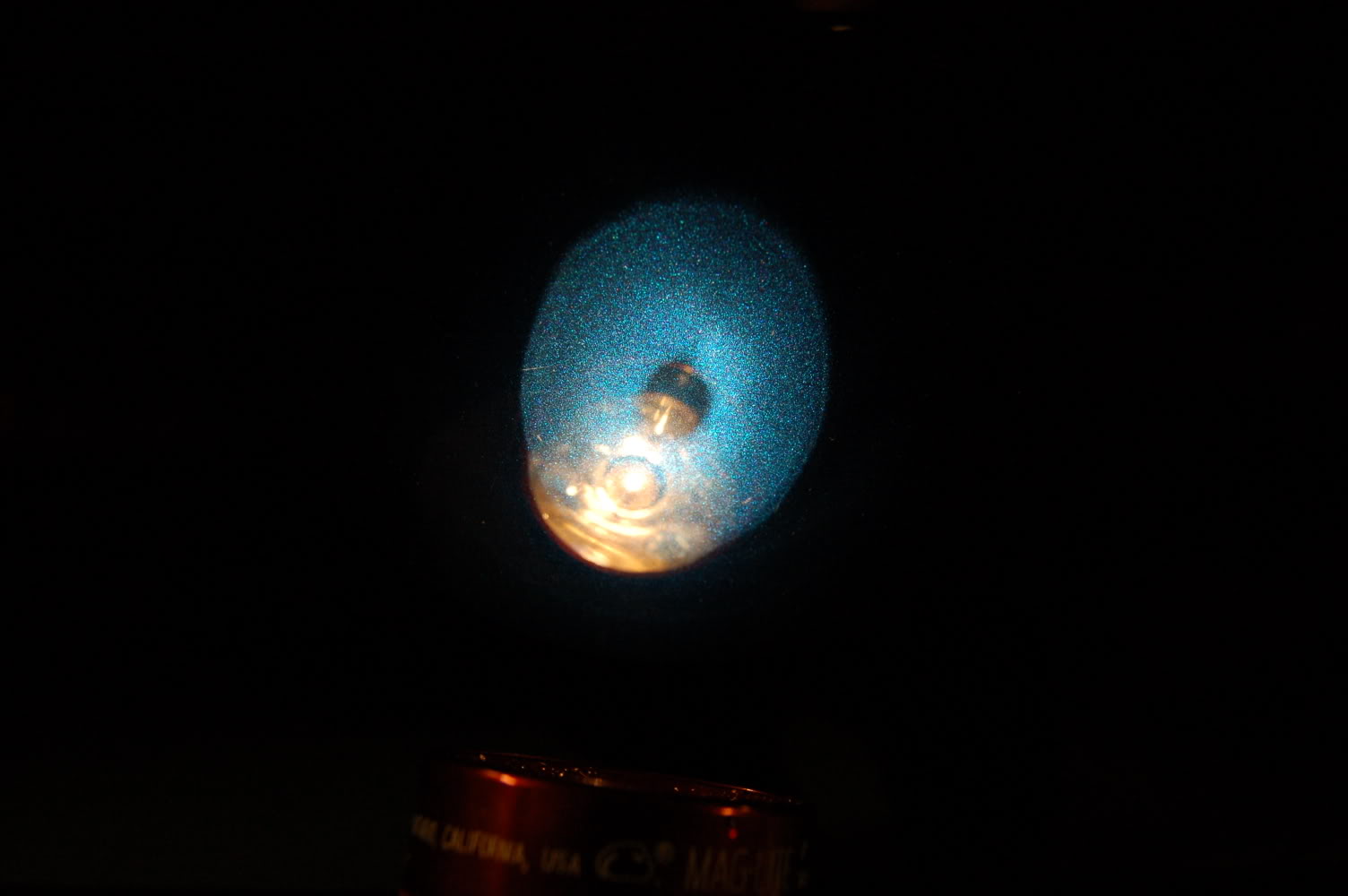 DSC_0031.jpg