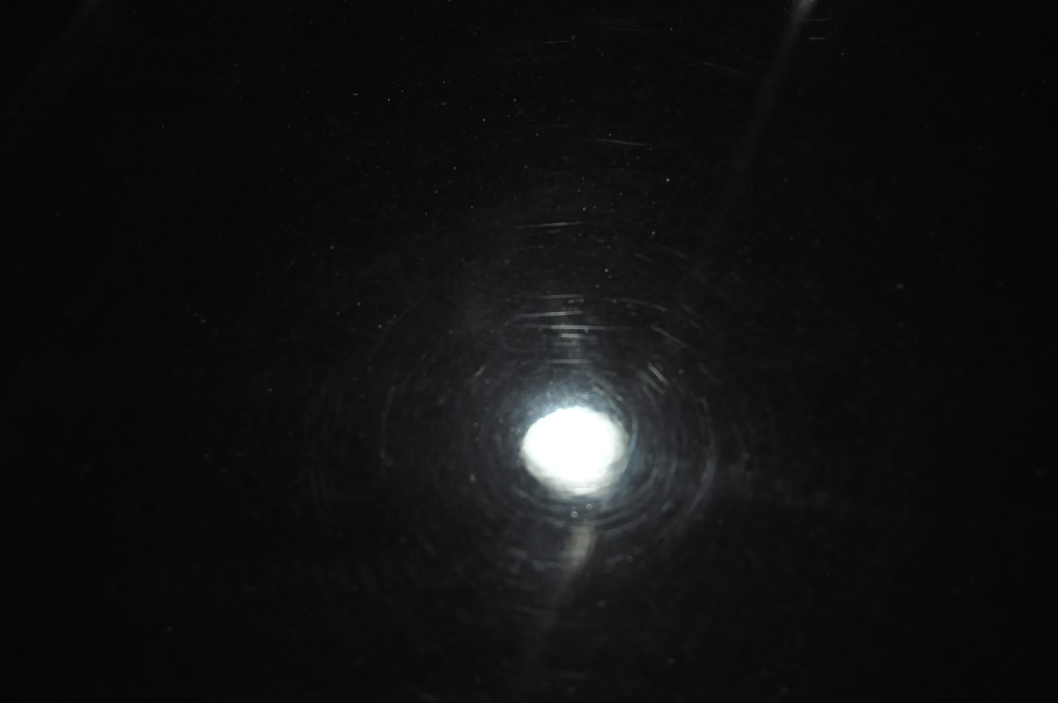 DSC_0033.jpg