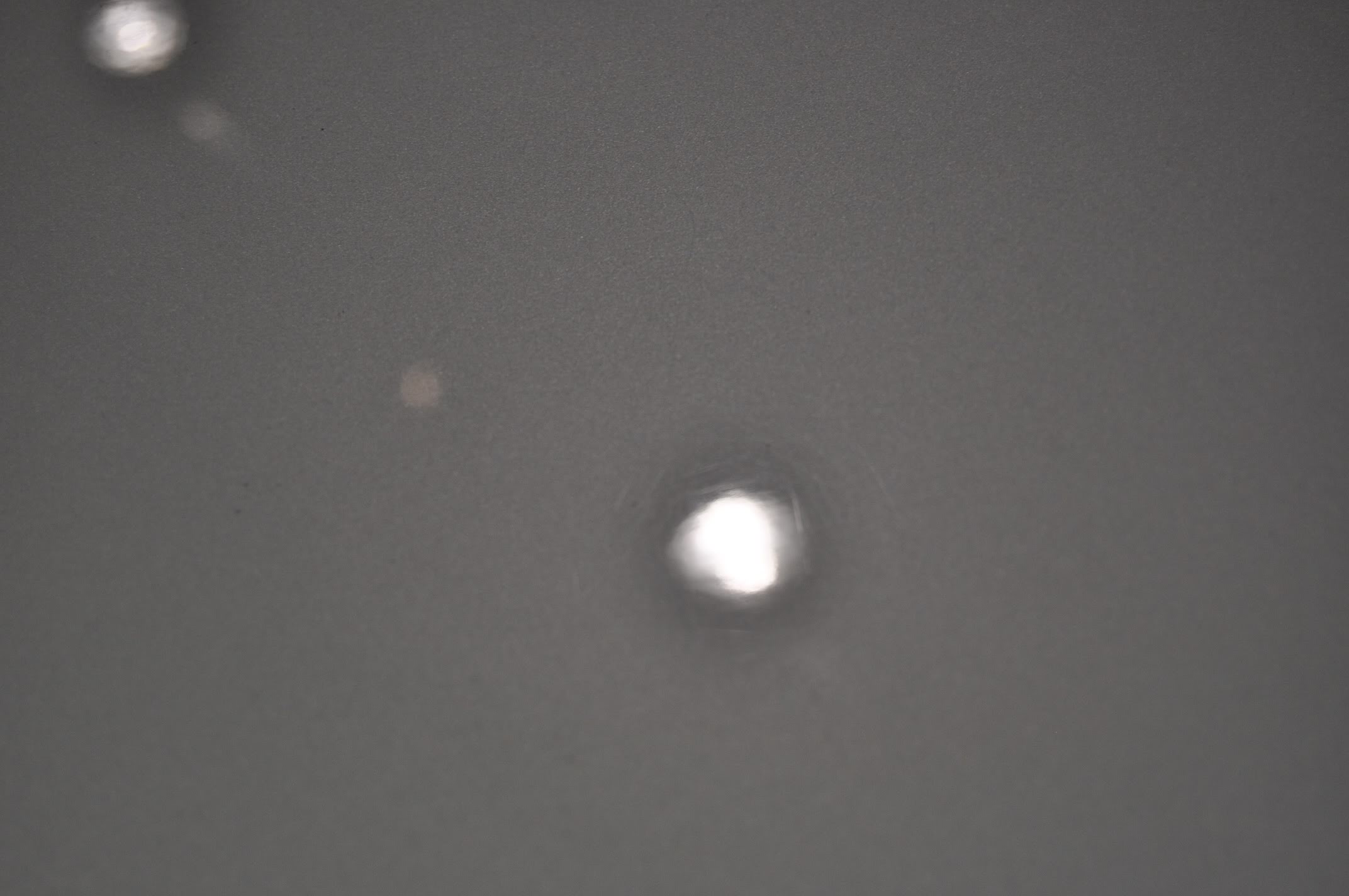 DSC_0037.jpg