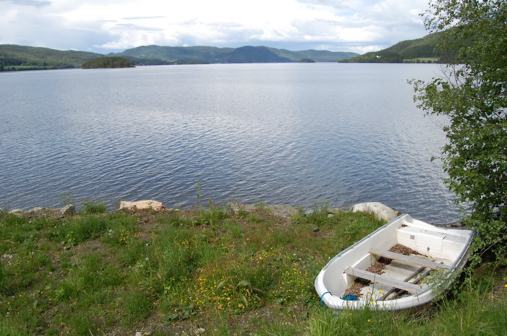 DSC_0042-3.jpg