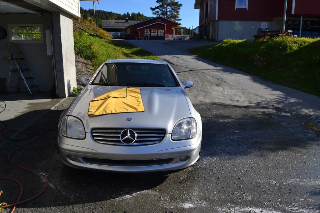 DSC_0043_1024x683.jpg