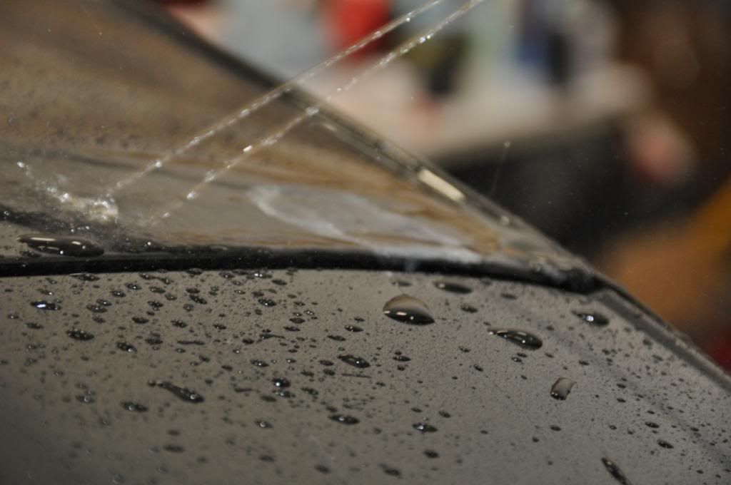 DSC_0044.jpg