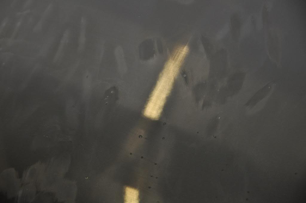 DSC_0045.jpg