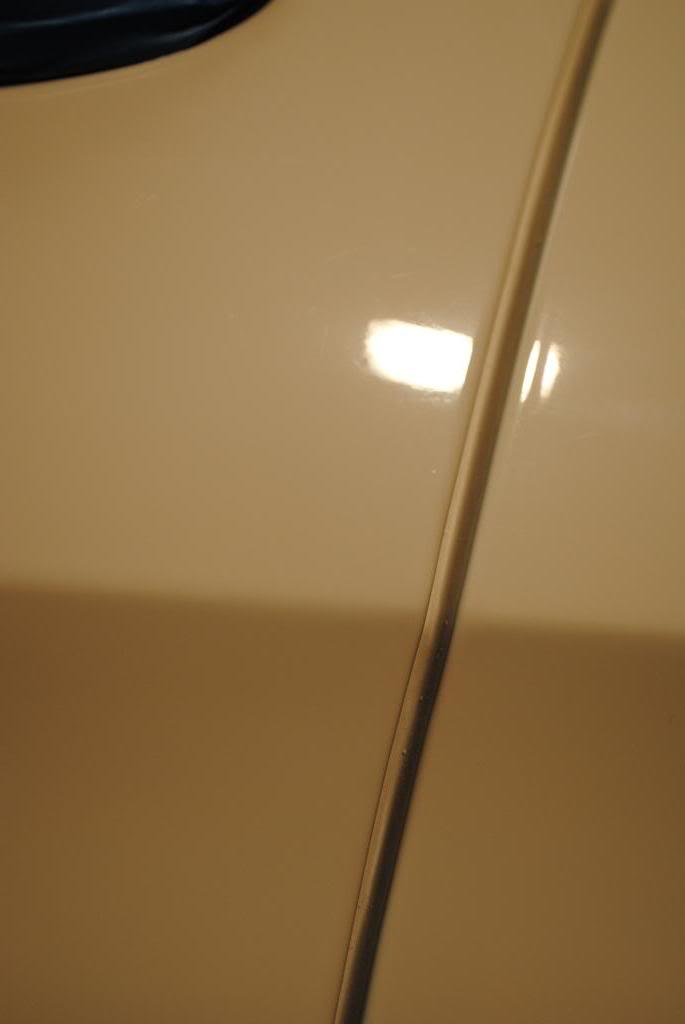 DSC_0049.jpg