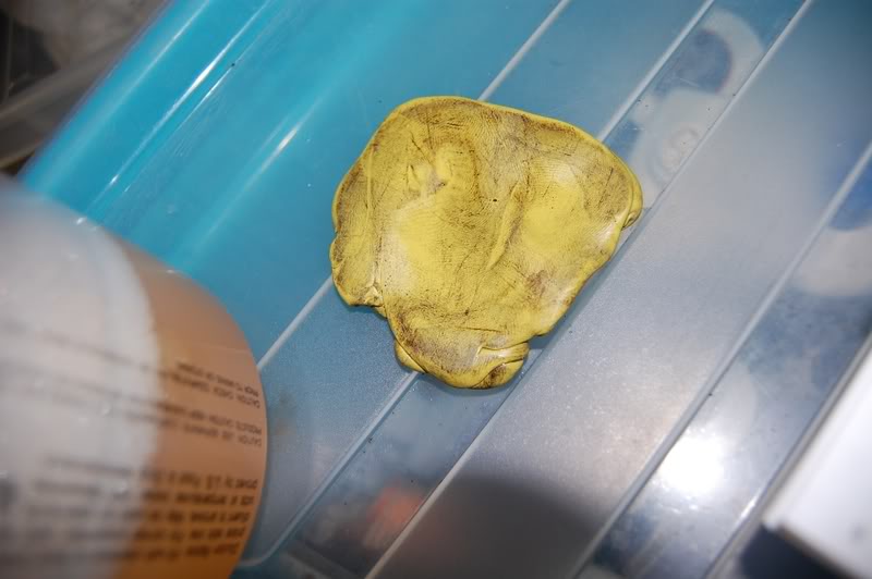 DSC_0052.jpg