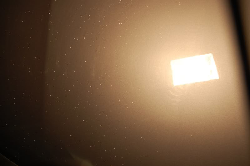DSC_0075.jpg