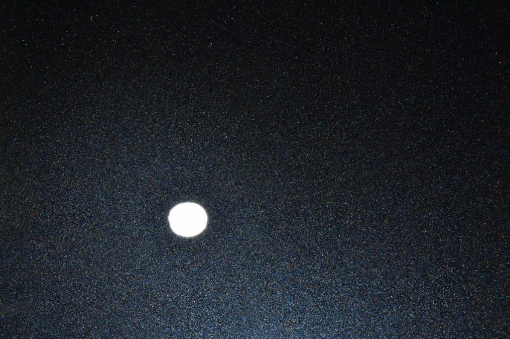 DSC_0075_1200x800.jpg