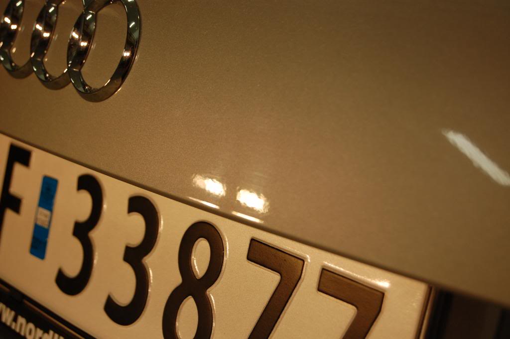 DSC_0081.jpg