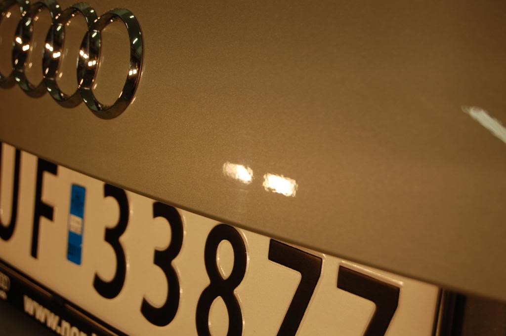 DSC_0084.jpg