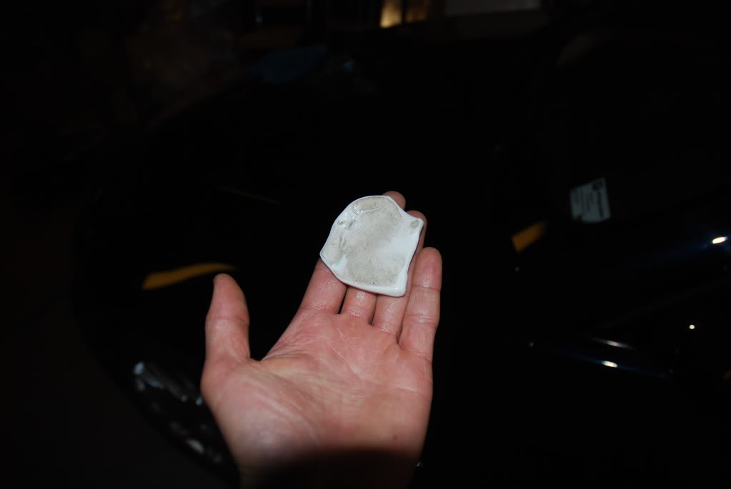 DSC_0085.jpg