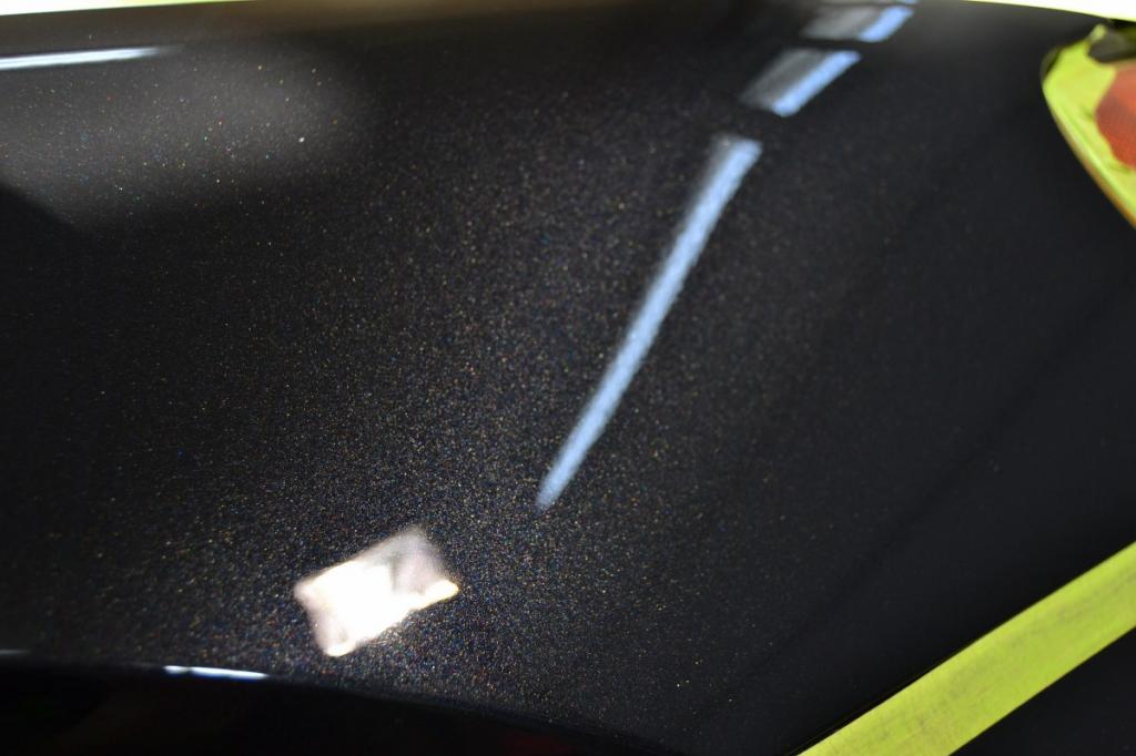 DSC_0095_1200x800.jpg