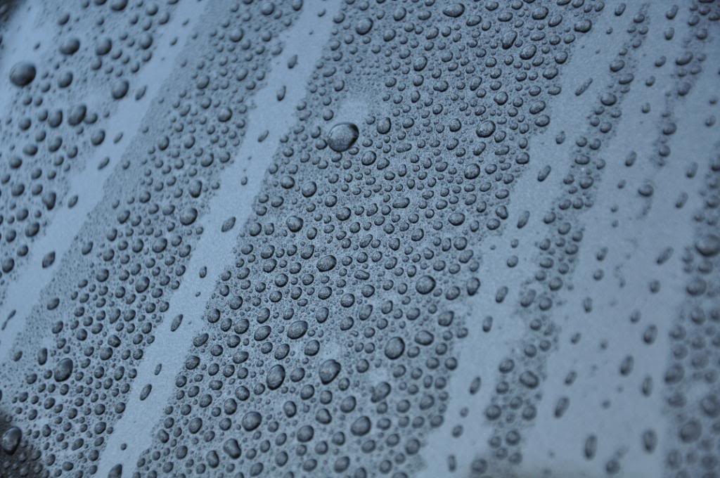 DSC_0096.jpg