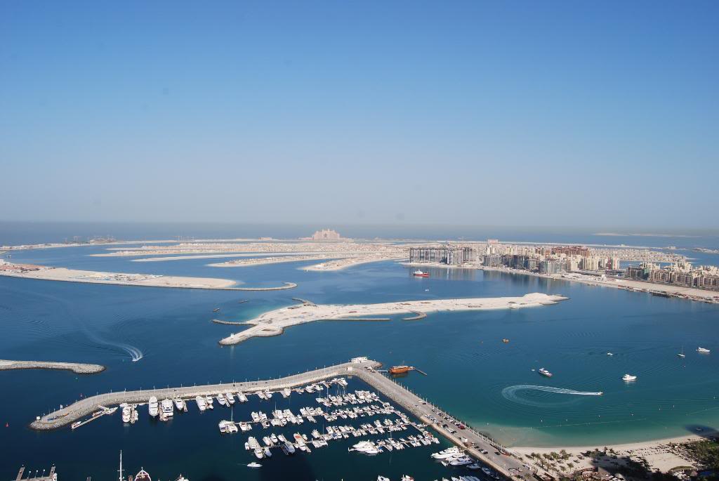 DSC_0100.jpg