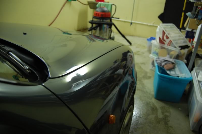 DSC_0102.jpg