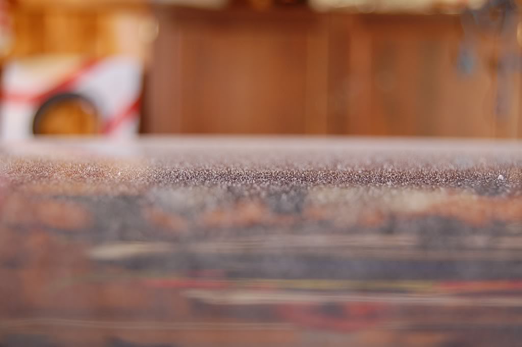 DSC_0103.jpg