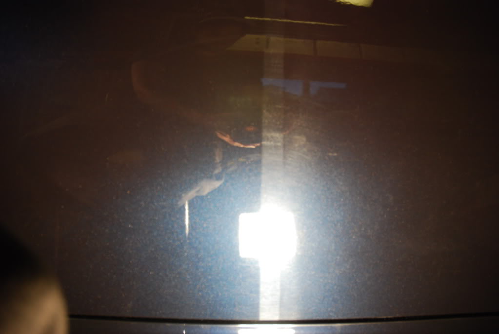 DSC_0104.jpg