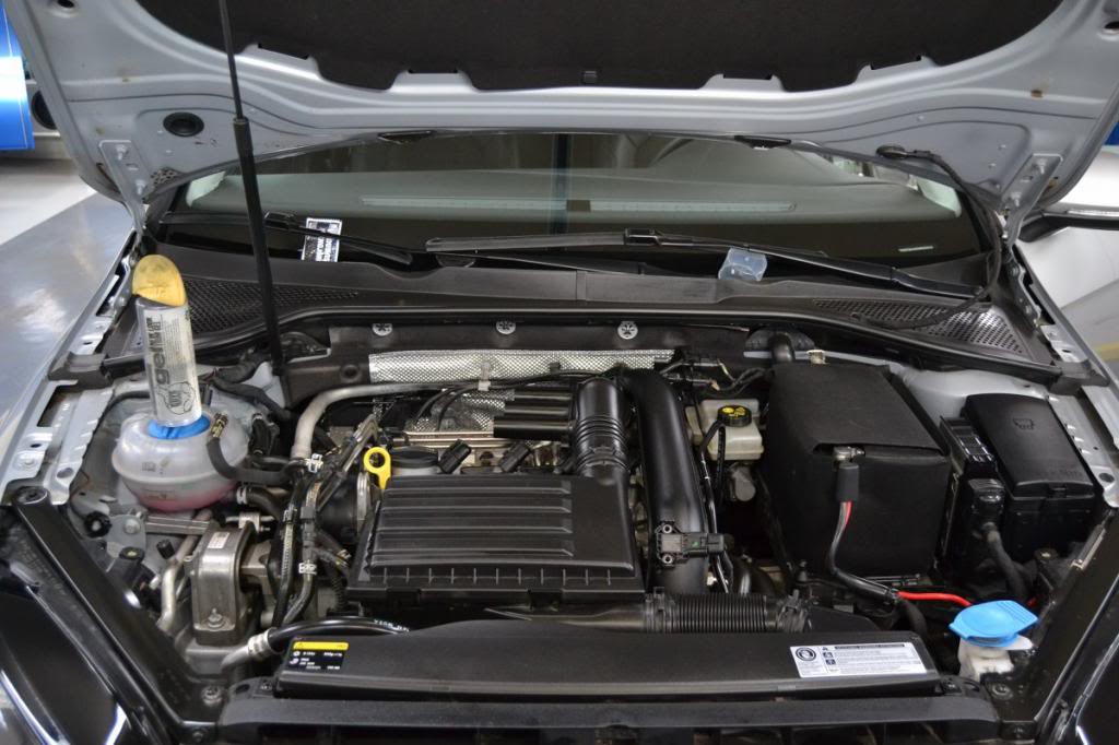 DSC_0112_1200x800.jpg