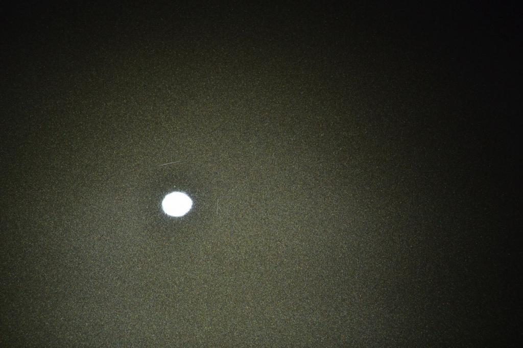 DSC_0121_1200x800.jpg