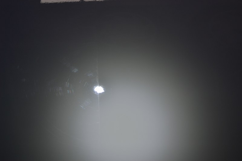 DSC_0147_800x533.jpg