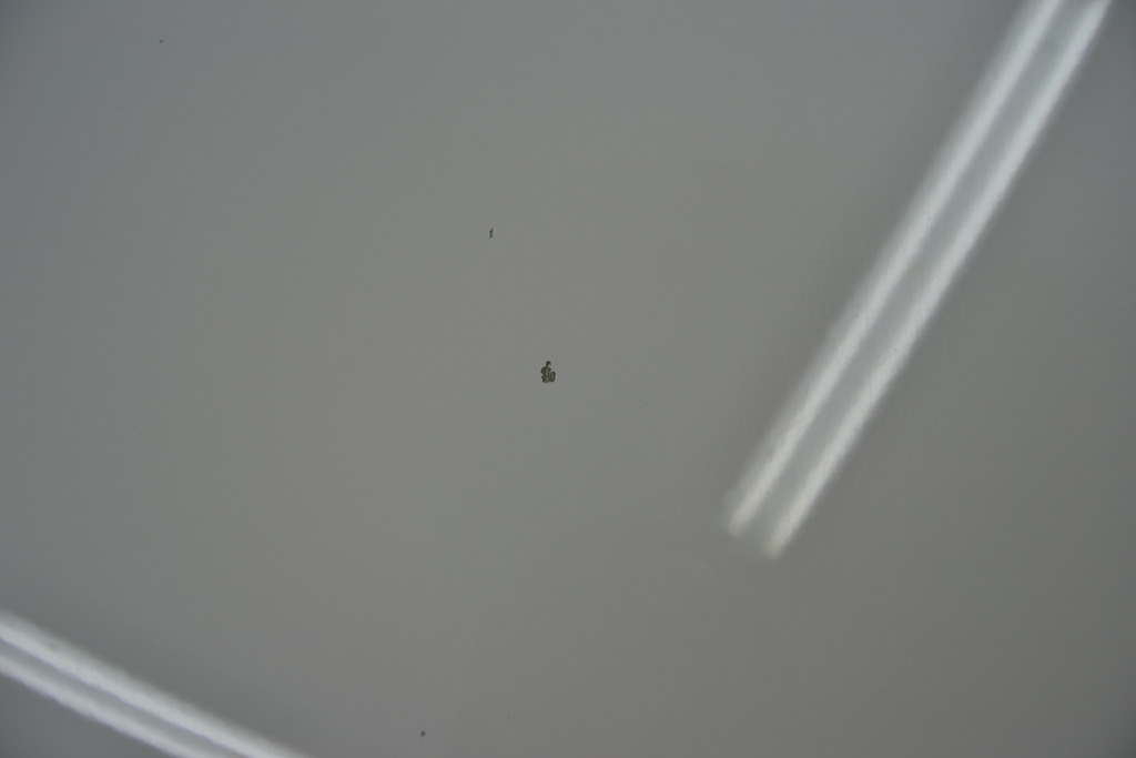 DSC_0166_zps5jbvye3s.jpg