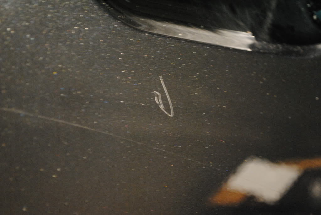 DSC_0174.jpg