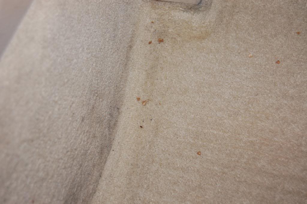 DSC_0187.jpg